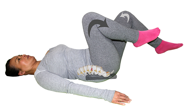 sacro aligner postion movements down